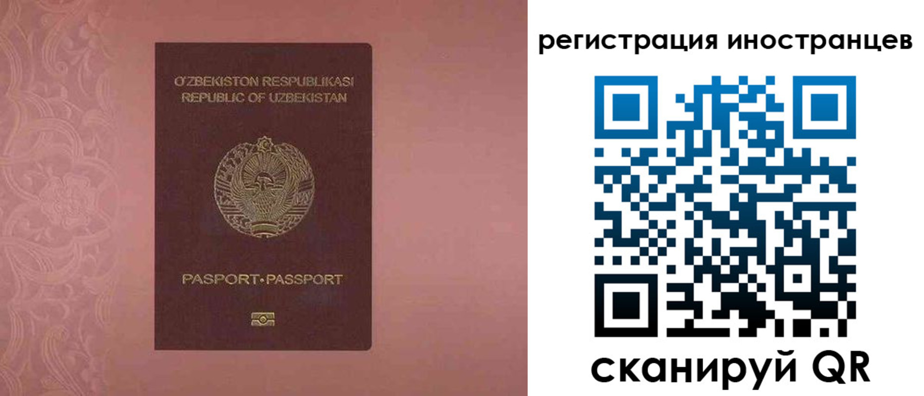 временная регистрация госуслуги в Читинской области